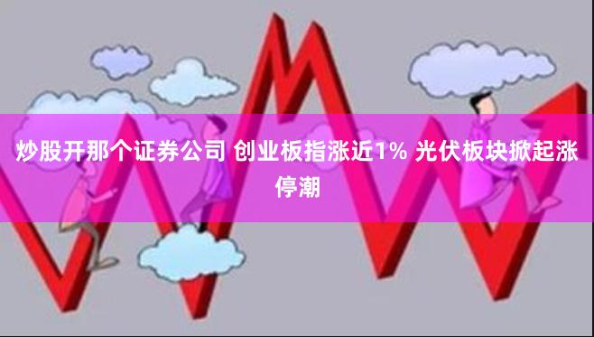 炒股开那个证券公司 创业板指涨近1% 光伏板块掀起涨停潮