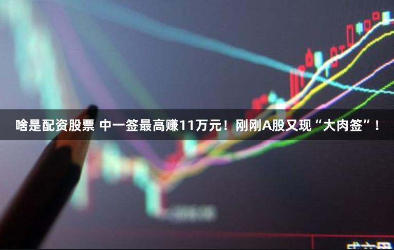 啥是配资股票 中一签最高赚11万元！刚刚A股又现“大肉签”！