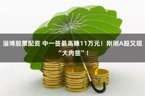 淄博股票配资 中一签最高赚11万元！刚刚A股又现“大肉签”！