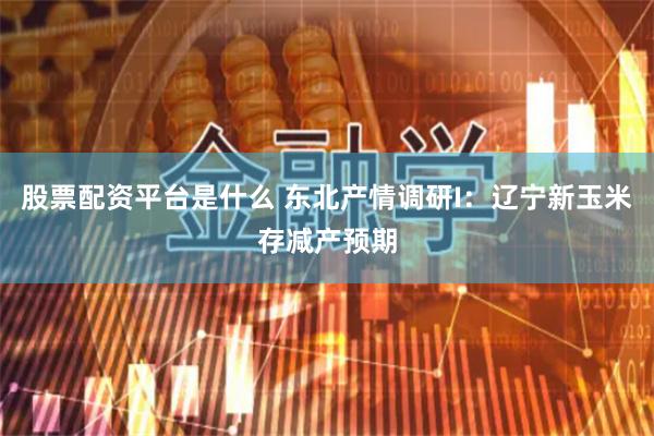 股票配资平台是什么 东北产情调研I：辽宁新玉米存减产预期