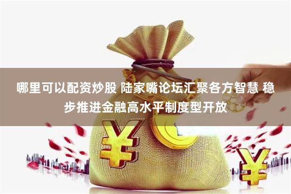 哪里可以配资炒股 陆家嘴论坛汇聚各方智慧 稳步推进金融高水平制度型开放